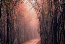 2026乐鱼体育中国官方入口瑞士队成功逆转，晋级赛事中表现抢眼