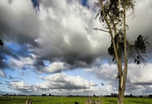 2025乐鱼体育网站入口梦幻大战！世界足球领军者集结国际友谊赛