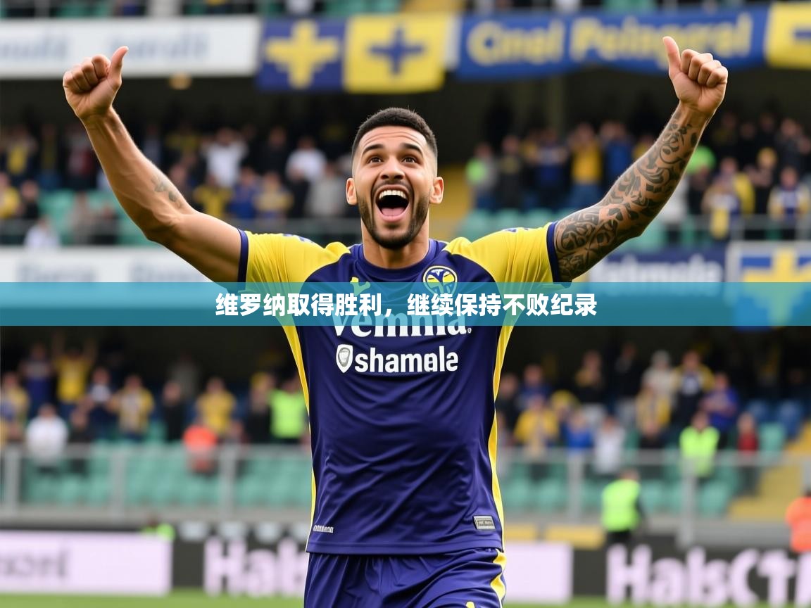 2025乐鱼体育在线官网维罗纳取得胜利,继续保持不败纪录