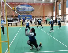 乐鱼体育官网下载-哈尔滨冰城队遇困难，全队齐心协力应对难关的简单介绍